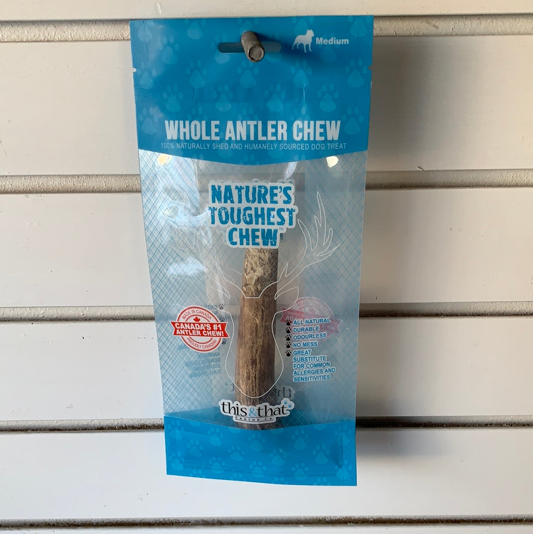 Whole Antler Chew - Medium